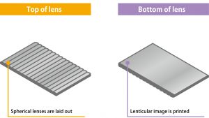 Lenticular Lens  Lenticular RIP Software